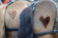 /album/menrally-16-04-2011/smr21-jpg/