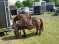 /album/menrit-04-06-2011/a1324395249-5-dmwz-jpg/