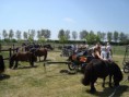 /album/menrit-04-06-2011/a1324395292-5-7qxc-jpg/