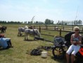 /album/menrit-04-06-2011/a1324395310-5-99xg-jpg/