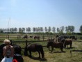 /album/menrit-04-06-2011/a1324395346-5-uafo-jpg/