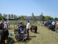/album/menrit-04-06-2011/a1324395395-5-vhvs-jpg/