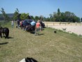 /album/menrit-04-06-2011/a1324395416-5-76px-jpg/