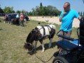 /album/menrit-04-06-2011/a1324395436-5-qvvh-jpg/