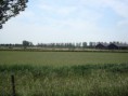 /album/menrit-04-06-2011/a1324395467-5-j8fc-jpg/