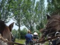 /album/menrit-04-06-2011/a1324395483-5-zaoy-jpg/