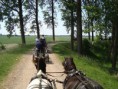 /album/menrit-04-06-2011/a1324395532-5-zr-v-jpg/