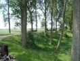 /album/menrit-04-06-2011/a1324395552-5-uofj-jpg/