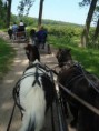 /album/menrit-04-06-2011/a1324395576-5-u4uw-jpg/