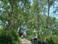/album/menrit-04-06-2011/a1324395594-5-xv5x-jpg/
