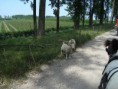 /album/menrit-04-06-2011/a1324395633-5-coow-jpg/