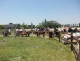 /album/menrit-04-06-2011/p6040003-jpg/
