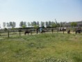 /album/menrit-04-06-2011/p6040004-jpg/