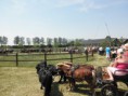 /album/menrit-04-06-2011/p6040009-jpg/