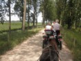 /album/menrit-04-06-2011/p6040012-jpg/