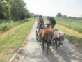 /album/menrit-04-06-2011/p6040021-jpg/