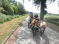 /album/menrit-04-06-2011/p6040022-jpg/